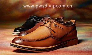 皮王狮丹鞋业